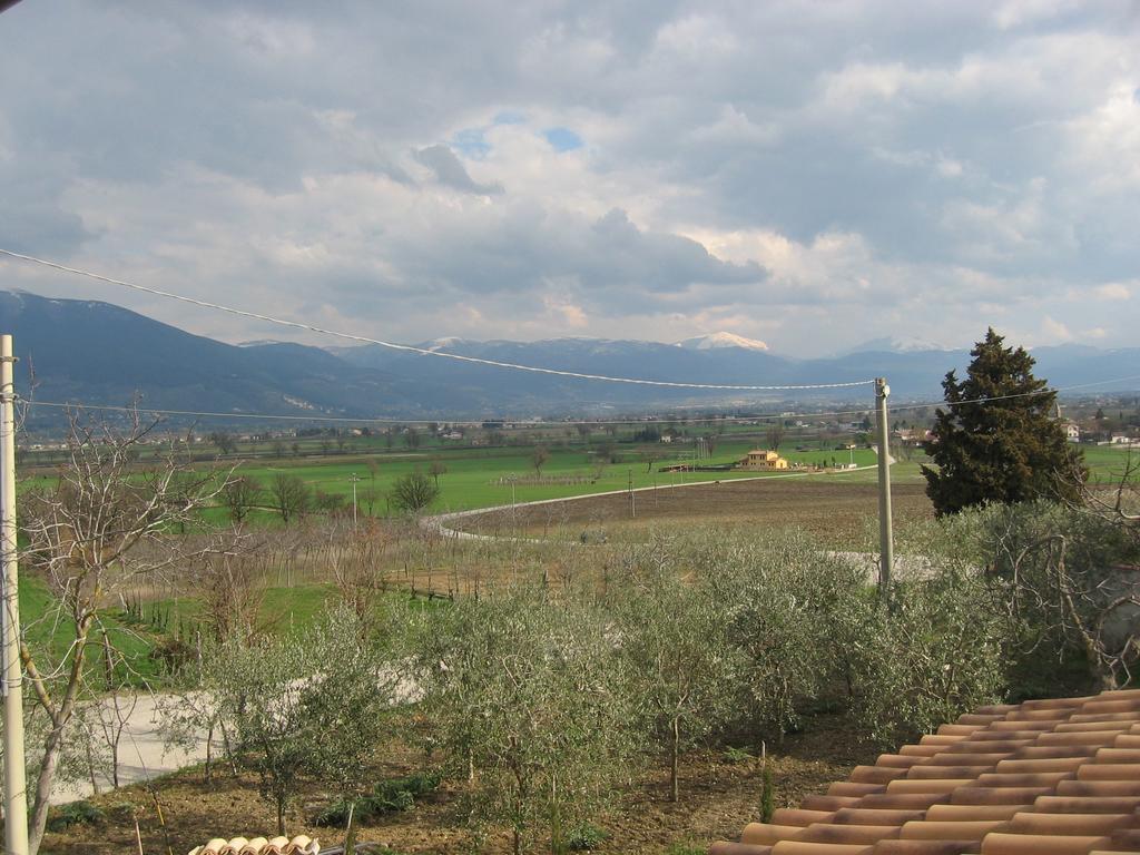 Ciards House Lejlighed Montefalco Værelse billede